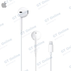 Écouteurs Filaires Lightning Apple MWTY3ZM/A Blanc