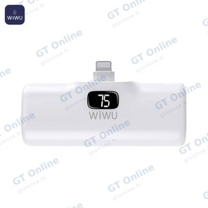 Batterie Externe Power Bank Wiwu Wi-P017-L Lightning 5000mAh Blanc