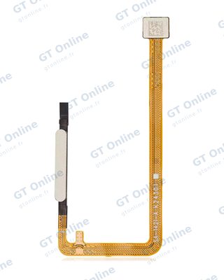 Nappe capteurs pour Samsung Galaxy A06 (A065 / 2024) (premium, or)