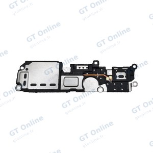 Haut-Parleur Premium Vivo Y55 5G
