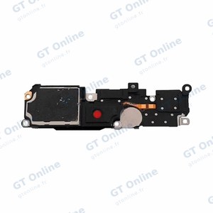 Haut-Parleur Premium Vivo Y76 5G