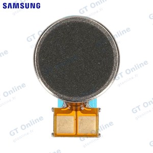 Vibreur Original Samsung Galaxy Tab S6 Wi-Fi T860/Galaxy Tab S5e Wi-Fi T720/Galaxy Tab S7 Plus Wi-Fi