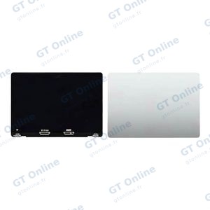 Écran LCD Complet OEM Apple MacBook Pro 14" M3 Pro/M3 Max (Late 2023) A2992 Argent