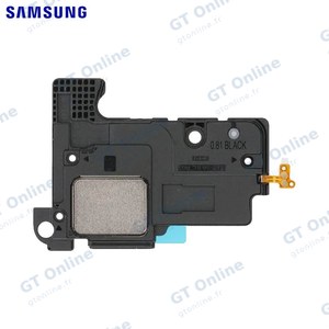 Haut-Parleur Original Samsung Galaxy Tab S6 Wi-Fi T860/Galaxy Tab S6 4G T865 GH96-12761A (Bas à Gauche)