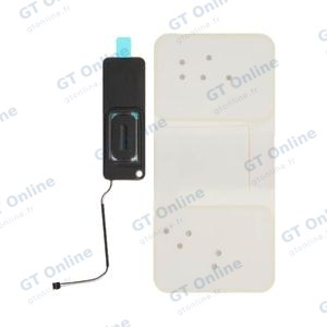 Haut-Parleur Apple iPad Mini 6/iPad mini 7 A2993/A2295