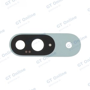 Lentille Premium Google Pixel 9 Vert Amande
