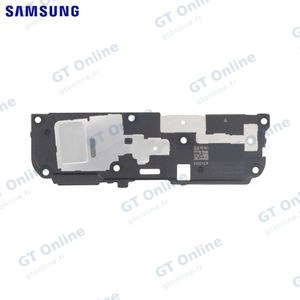 Haut-Parleur Original Samsung Galaxy A36 5G A366 GH96-19256A