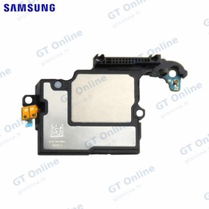 Haut-Parleur Original Samsung Galaxy Tab S9 Wi-Fi X710/Galaxy Tab S9 5G X716 GH82-31771A Haut à Droite