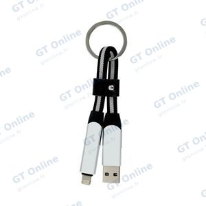 Porte-Clés Multi-Câbles 5 en 1 (Lightning + 2x Type-C + USB-A) Argent