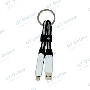 Porte-Clés Multi-Câbles 5 en 1 (Lightning + 2x Type-C + USB-A) Argent