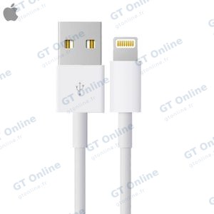 Câble Data USB vers Lightning Apple 4Q2E2ZM/A Bulk Blanc