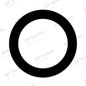Lentille Apple iPhone 6S