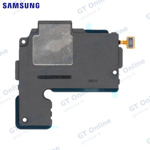 Haut-Parleur Original Samsung Galaxy Tab S5e Wi-Fi T720/Galaxy Tab S5e 4G T725 GH96-12507A (Bas à Droite)