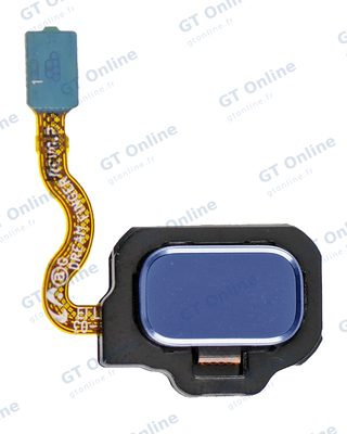 Nappe capteurs pour Samsung Galaxy S8 / S8 Plus (Coral Blue)