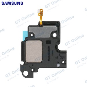 Haut-Parleur Original Samsung Galaxy Tab S6 Wi-Fi T860/Galaxy Tab S6 4G T865 GH96-12760A (Bas à Droite)
