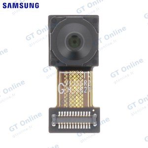 Caméra Visio Originale Samsung Galaxy A16 5G A166 GH96-18469A 13MP