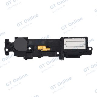 Haut-parleur pour Samsung Galaxy Z Flip 5 (F731)
