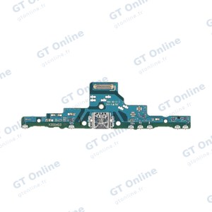 Connecteur de Charge Premium Samsung Galaxy Tab S6 Lite 4G P615