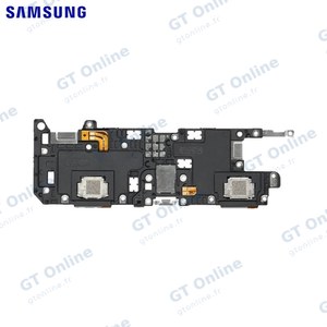 Haut-Parleur Original Samsung Galaxy Tab A7 4G T505/Galaxy Tab A7 Wi-Fi T500 GH81-19646A (Droite)