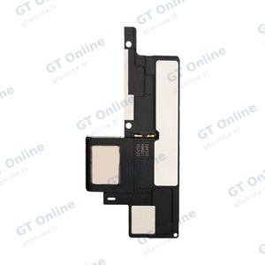 Haut-parleur Apple iPad Pro 10.5" (1e génération) A1701 / A1709