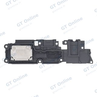 Haut-parleur pour Samsung Galaxy A10s (A107 / 2019)