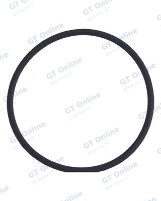 Joint torique de lentille de caméra arrière pour Apple iPhone 8 Plus (lot de 100)