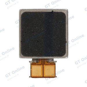 Vibreur Premium Samsung Galaxy S20 Plus G985/Galaxy Note 10 Plus N975/Galaxy S20 Plus 5G G986 GH82-27500A