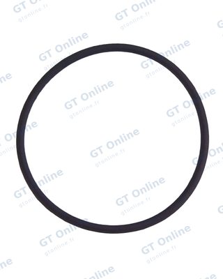 Joint torique de lentille de caméra arrière pour Apple iPhone 7 Plus (lot de 100)