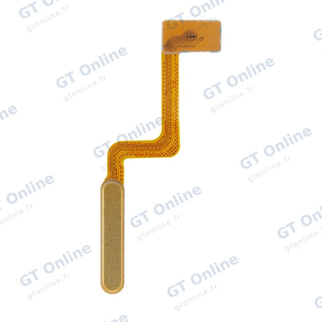 Nappe capteurs pour Samsung Galaxy Z Flip 4G (F700) / Z Flip 5G (F707) (Mirror Gold)
