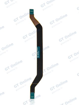 Antenne pour Samsung Galaxy S21 Ultra (All Models)