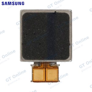 Vibreur Original Samsung Galaxy S20 Ultra G988/Galaxy Note 20 Ultra 5G N986/Galaxy Note 20 Ultra N985/Galaxy Z
