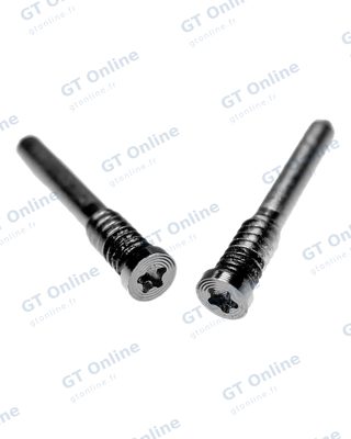 Vis de sécurité inférieure pour Apple iPhone 11 Pro Max (pack service origine, argent)