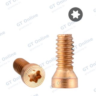 Vis inférieure pour Huawei Mate 9 (lot de 100, marron)