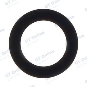 Lentille Premium Xiaomi Mi 11 Pro