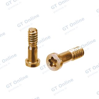 Vis de sécurité Gold pour Apple iPhone 8 / SE (2020) (pack service origine, lot de 100)