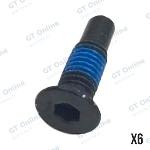 Vis Segway-Ninebot Kickscooter MAX G30/Kickscooter MAX G30LE de Fixation du Guidon (x6) (M5x16)
