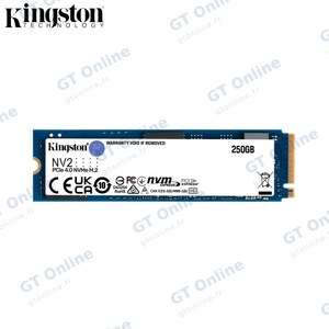 Disque Dur SSD Kingston SNV2S/250G NV2 PCIe4.0 NVMe M.2 (250Go)