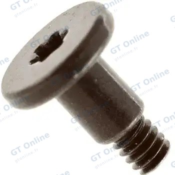 Outillage pour Apple iMac 24" A2874 / A2873 (2023) / iMac 24" A2438 (2021) (origine, lot de 5) — Jeu de vis (USB-C carte)