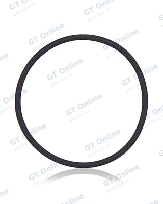 Joint torique de lentille de caméra arrière pour Apple iPhone XR / 11 / 11 Pro / 11 Pro Max / 12 / 12 Mini / 12 Pro (lot de 100)