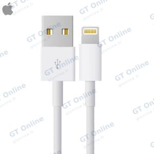 Câble Data USB vers Lightning Apple 4Q2E2ZM/A Bulk Blanc