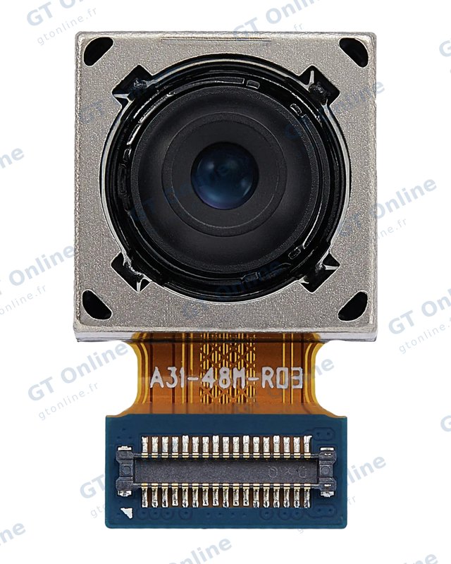 Caméra arrière pour Samsung Galaxy A12 (A125 / 2020) / A12 Nacho (A127 / 2021) / M12 (M127 / 2020) (version internationale)