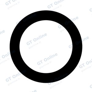 Lentille Apple iPhone 6S