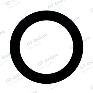 Lentille Apple iPhone 6S
