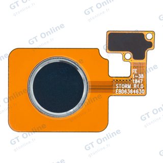 Nappe capteurs pour LG G8 ThinQ / LG V50 ThinQ (gris)