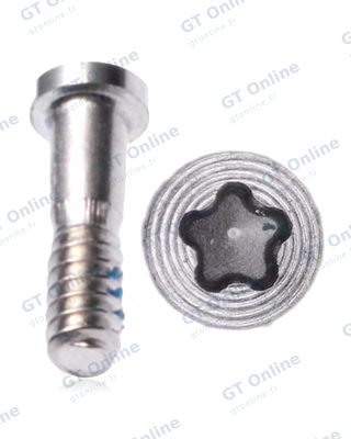 Vis inférieure pour Apple iPhone 5 (argent, lot de 100)