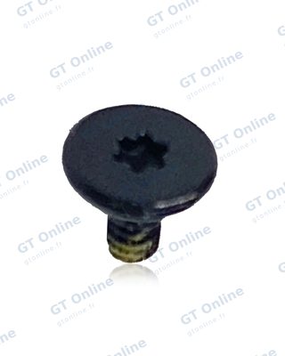 Vis de carte WiFi / Bluetooth Torx T5 pour Apple MacBook Pro 13" A2338 (2020) / (lot de 100)