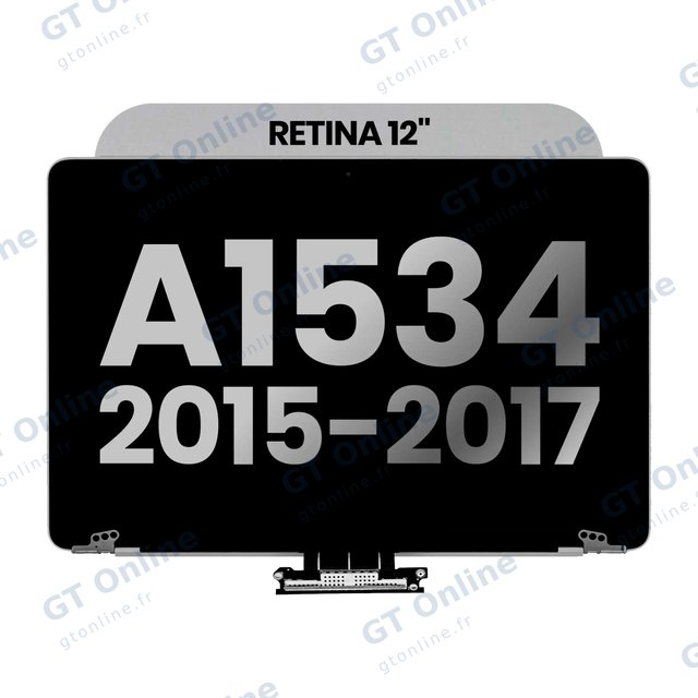 Écran pour Apple MacBook 12" A1534 (2015-2017) (origine d'occasion, gris sidéral)