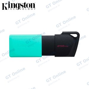 Clé USB Kingston DTXM/256GB DataTraveler Exodia M USB3.0 (256GB) Vert